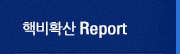 핵비확산 report
