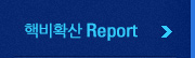 핵비확산 report